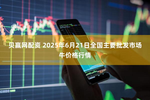 贝赢网配资 2025年6月21日全国主要批发市场牛价格行情