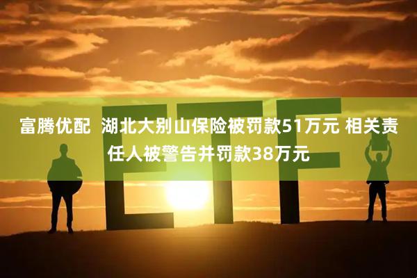 富腾优配  湖北大别山保险被罚款51万元 相关责任人被警告并罚款38万元