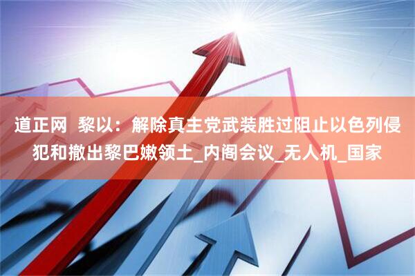 道正网  黎以：解除真主党武装胜过阻止以色列侵犯和撤出黎巴嫩领土_内阁会议_无人机_国家