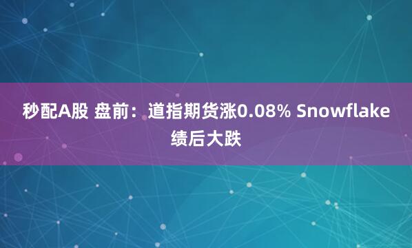 秒配A股 盘前：道指期货涨0.08% Snowflake绩后大跌